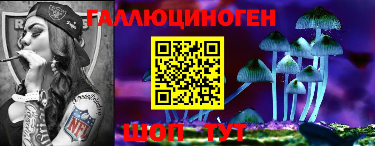 магазин    Вход с VPN  Ростов-на-Дону  Псилоцибиновые грибы Cubensis 